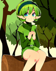  absurdres belt belt_buckle blue_eyes buckle commentary_request female green_hair green_hairband green_sweater hairband highres log own_hands_clasped own_hands_together pointy_ears ribbed_sweater saria_(zelda) seitarou short_hair sitting smile solo sweater the_legend_of_zelda the_legend_of_zelda:_ocarina_of_time turtleneck turtleneck_sweater 