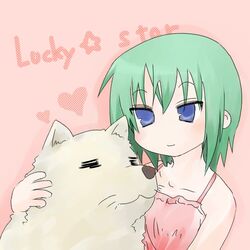  blue_eyes canine cherry_(lucky_star) commentary_request female green_hair iwasaki_minami lucky_star sasa90 short_hair solo 