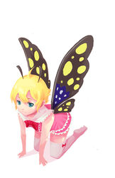  ahoge all_fours antennae aqua_eyes bad_id bad_pixiv_id blonde_hair butterfly_wings fairy female insect_wings nekotama_(pixiv34129) shimon_(shimotsuma) shimotsuma short_hair solo thighhighs wings 