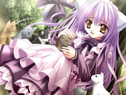  against_tree animal_ears cafe_little_wish cat_ears cat_tail dress feline female game_cg long_hair maid mina_(cafe_little_wish) nature purple_hair ribbon sitting solo tail tinker_bell_(pixiv_10956015) tree very_long_hair yellow_eyes 