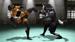  16:9 3d_(artwork) anthro black_hair black_sclera blocking boxing_shorts canid canine canis clothing digital_media_(artwork) duo female fighting_ring fur grin hair handwear hi_res kick male mammal multicolored_body multicolored_fur petruz_(copyright) smile source_filmmaker_(artwork) sport widescreen wolf wolf_(petruz) wolfikous 