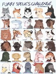  accipitrid accipitriform agamid amber_eyes ambiguous_gender american_opossum anthro avian bald_eagle ball_python beak bear bearded_dragon bird bird_dog black_vulture blue_eyes bovid bovine brown_bear brown_eyes canid canine canis cattle cheetah chicken closed_eyes colubrid columbid corn_snake deer dobermann domestic_cat domestic_dog eagle equid equine felid feline felis fish forked_tongue fox fumiko fur galliform gallus_(genus) gills giraffe giraffid group half-closed_eyes hi_res horn horse hunting_dog husky hyena jaguar komodo_dragon labrador lampropeltini laugh lion lizard looking_at_viewer looking_away looking_down lynx macaw mackerel_shark mammal marine marsupial monitor_lizard multicolored_body multicolored_fur multicolored_scales narrowed_eyes neotropical_parrot new_world_deer new_world_vulture nordic_sled_dog open_mouth pantherine parrot phasianid pigeon pinscher python python_(genus) rat_snake reindeer reptile retriever scales scalie sea_eagle shark smile snake spitz spotted_hyena suid suina sus_(pig) tagging_guidelines_illustrated thresher_shark timber_rattlesnake tongue tongue_out true_parrot ursine vulture white-tailed_deer wild_boar wolf 