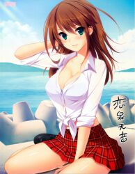  arm_behind_head blue_bra blush bra breasts brown_hair cleavage dress_shirt female front-tie_top green_eyes hatsukoi_1/1 highres koizumi_amane large_breasts loafers long_hair looking_at_viewer midriff miniskirt ocean open_clothes open_shirt photoshop_(medium) plaid plaid_skirt pleated_skirt scan shiny_skin shirt shoes signature sitting skirt sleeves_rolled_up smile solo tetrapod third-party_edit tied_shirt tokizaki_maya underwear water 