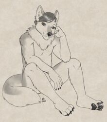  anthro canid canine canis hi_res line_art looking_at_viewer male mammal monochrome mosa sabbyth scruffy sitting solo thinking wolf 