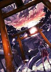  akane_harurou brown_hair closed_mouth cloud female full_body hachimaki hair_between_eyes hakama hakama_shorts headband high_ponytail japanese_clothes kantai_collection leaf long_hair long_sleeves muneate outdoors ponytail sandals shorts shrine sky solo standing star_(sky) sunset torii tree wide_sleeves wind zouri zuihou_(kancolle) 