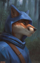  2023 adobe_photoshop_(artwork) anthro canid canine chunie clothed clothing digital_media_(artwork) digital_painting_(artwork) fox fur furgonomic_headwear furgonomics headshot_portrait hi_res looking_aside looking_away male mammal portrait raining red_body red_fur solo white_body white_fur 