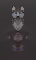  3d_(artwork) ambiguous_gender bust_portrait canid canine canis digital_media_(artwork) domestic_dog hi_res husky jaycub mammal nordic_sled_dog portrait solo spitz zephyrpanthur 