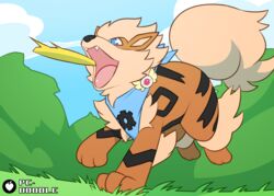  3_fingers 3_toes ambiguous_gender arcanine black_body black_fur blue_eyes canid canine cheek_tuft chest_tuft cloud day detailed_background digitigrade facial_tuft fangs feet feral fingers fluffy fluffy_tail frisbee fur generation_1_pokemon grass hi_res low-angle_view mammal nintendo open_mouth orange_body orange_fur outside pc-doodle plant pokemon pokemon_(species) pokemon_mystery_dungeon quadruped running scarf shrub sky solo spike_chunsoft tail teeth time_gear toes tongue tuft yellow_body yellow_fur 