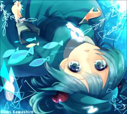  blue_eyes blue_hair character_name commentary_request etsuo female fish hair_bobbles hair_ornament hat kawashiro_nitori long_sleeves looking_at_viewer shirt skirt skirt_set solo touhou two_side_up underwater upside-down 