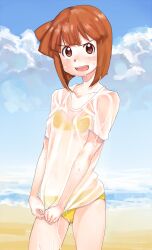  aizawa_eiko bad_id bad_pixiv_id beach bikini blush breasts brown_eyes brown_hair day female flat_chest highres kikiki_(hiya_mikan) open_mouth outdoors sand see-through shinryaku!_ikamusume shirt shirt_tug short_hair solo swimsuit tears wet wet_clothes wet_shirt 