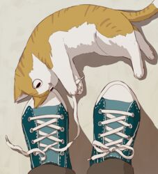  1other ambiguous_gender animal_focus aqua_footwear avogado6 brown_cat brown_pants commentary feet feet_only feline foot_focus from_above looking_to_the_side lying on_floor on_side original out_of_frame pants pov shadow shoelaces shoes sneakers solo untied untied_shoe untying white_cat 