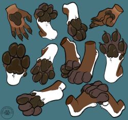  4_toes 5_fingers absurd_res ambiguous_gender anthro blue_background brown_body brown_fur brown_pawpads carifoxleopard claws curling_toes cyan_background dewclaw domestic_cat entwined_toes extinct feet felid feline felis fingers foot_focus foot_shot fur hand_shot hi_res hindpaw humanoid_hands hybrid mammal pawpads paws prehistoric_species saber-toothed_tiger simple_background solo spread_toes toe_claws toes turquoise_background white_body white_fur 