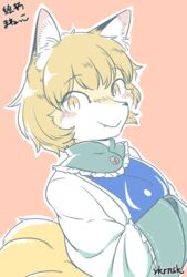  animalization female furry orange_eyes orange_hair short_hair solo team_shanghai_alice touhou translation_request yakumo_ran ykrnsk 