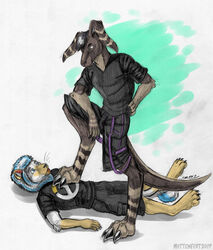  2017 anthro blizzard_entertainment clothed clothing conditional_dnp digital_media_(artwork) duo felid full-length_portrait fully_clothed graphite_(artwork) kangaroo lion macropod male mammal marsupial mixed_media overwatch pantherine paws pencil_(artwork) portrait shirt_logo simple_background step_pose stripes tongue traditional_media_(artwork) urban-coyote 