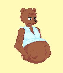  anthro bear clothing digital_media_(artwork) egorrus37 male mammal pixel_(artwork) pregnant pregnant_anthro pregnant_male shirt solo topwear unborn_kicking 