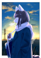  2023 5_fingers anthro bag canid canine clothing cloud cold digital_drawing_(artwork) digital_media_(artwork) female fingers fox grass hair jacket mametunu mammal paws plant scarf sky solo sunrise tail topwear 