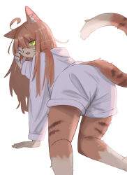  2023 absurd_res anthro ass bodily_fluids bottomwear clothing digital_drawing_(artwork) digital_media_(artwork) domestic_cat felid feline felis female hair hi_res jacket mametunu mammal rear_view rubbing_eyes shorts solo tail tears topwear waking_up 