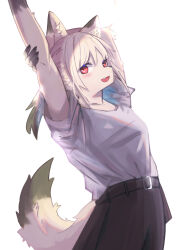 2023 absurd_res anthro belt blush bottomwear canid canine canis clothed clothing digital_drawing_(artwork) digital_media_(artwork) female fur hi_res mametunu mammal simple_background skirt solo stretching tail white_background white_body white_fur wolf 
