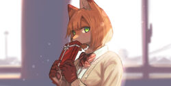  2024 anthro blush box_of_chocolates candy canid canine chocolate clothing dessert digital_drawing_(artwork) digital_media_(artwork) female food fox hair hi_res holidays jacket light mametunu mammal paws school_uniform solo sunlight topwear uniform valentine&#039;s_day 