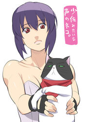  bare_shoulders black_gloves collarbone feline female fingerless_gloves ghost_in_the_shell ghost_in_the_shell_stand_alone_complex gloves kusanagi_motoko lips nora_higuma nyamsas nyan_koi! photoshop_(medium) purple_hair scarf short_hair simple_background tanaka_atsuko translated upper_body voice_actor_connection white_background 