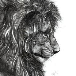  absurd_res ambiguous_form felid hi_res lion male mammal mane monochrome novawuff pantherine portrait side_view simple_background solo whiskers white_background 