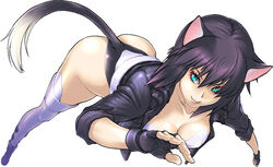  animal_ears blue_eyes boots breasts cat_ears cat_tail cleavage commentary_request female foreshortening ghost_in_the_shell itou_kaeru jacket kusanagi_motoko lips medium_breasts nyamsas nyan_koi! purple_hair short_hair solo tail tanaka_atsuko thigh_boots thighhighs voice_actor_connection 