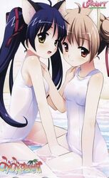  2girls animal_ears beach black_hair blush brown_eyes brown_hair card cat_ears jpeg_artifacts koganei_matsuri long_hair mimi_wo_sumaseba_(eroge) multiple_girls one-piece_swimsuit oogami_hinata ribbon scan scan_artifacts school_swimsuit shore souryuu_(double_dragon) swimsuit twintails water white_one-piece_swimsuit 