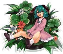  animal_ears bad_id bad_twitter_id clover commentary dog_ears doroame_(ameyu) dress female flower flower_request four-leaf_clover grass green_eyes green_hair highres jasmine_(flower) kasodani_kyouko leaf long_sleeves looking_at_viewer open_mouth pink_dress shoes short_hair sitting socks solo teeth tongue touhou white_socks 