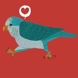  1:1 ambiguous_gender avian beak bird blue_body blue_feathers feathered_wings feathers feral happy heart_symbol monk_parakeet neotropical_parrot orange_beak parakeet parrot reimena solo true_parrot walking wings 