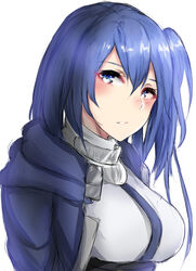  blue_cloak blue_eyes blue_hair blush breasts cloak commentary_request dress female hai_to_gensou_no_grimgar hair_between_eyes kuuki_(rakam) long_hair looking_at_viewer looking_to_the_side medium_breasts merry_(grimgar) side_ponytail solo white_dress 