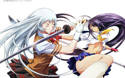  2girls absurdres black_hair blue_eyes blue_skirt brown_skirt chouun_shiryuu closed_eyes crop_top earrings fingerless_gloves gloves grey_hair guan_dao hair_over_one_eye highres holding holding_polearm holding_sword holding_weapon ikkitousen jewelry kan&#039;u_unchou katana long_hair magatama magatama_earrings midriff multiple_girls navel pleated_skirt polearm red_gloves rin-sin shirt simple_background skirt sword very_long_hair weapon white_background white_gloves white_legwear white_shirt 