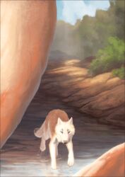  2022 4_toes ambiguous_gender brown_body brown_fur canid canine canis day detailed_background digital_media_(artwork) feet feral fur mammal oneminutesketch outside partially_submerged paws sky solo toes water white_body white_fur wolf 