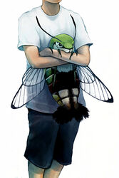  1boy animal animal_focus black_shorts bug creature head_out_of_frame holding male_focus moth nishimawari_kouro original oversized_animal oversized_insect shirt short_sleeves shorts simple_background solo standing white_background white_shirt 