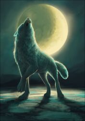  2022 4_toes ambiguous_gender awoo black_border border canid canine canis closed_eyes digital_media_(artwork) feet feral mammal moon night oneminutesketch outside paws sky solo standing toes wolf 