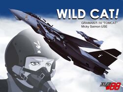  1boy aircraft airplane area_88 english_text engrish_text f-14_tomcat fighter_jet ikeda_yasuhiro jet mickey_simon military military_vehicle ranguage vehicle_focus 