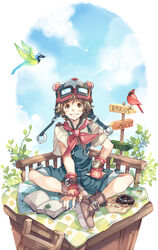  1boy ascot aviator_cap bird blue_overalls book boots brown_eyes brown_hair cardinal_(animal) cloud clover commentary_request day doughnut food four-leaf_clover gloves goggles goggles_on_head hat male_focus metawin original overalls photoshop_(medium) sign solo watch wristwatch 