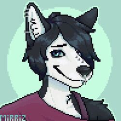  1:1 anthro black_body black_eyeshadow black_fur black_hair blue_eyes canid canine canis clothing digital_media_(artwork) domestic_dog emo_haircut eyeshadow facial_piercing femboy fur hair hi_res husky makeup male mammal mirriz nordic_sled_dog nose_piercing piercing pixel_(artwork) rivey_ravenheart solo spitz white_body white_fur 