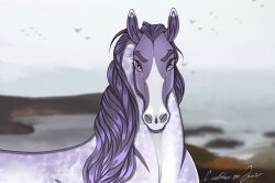  ambiguous_gender digital_media_(artwork) equid equine eyebrows facial_markings feral hair head_markings hi_res horse looking_at_viewer male_(lore) mammal mane markings multicolored_body outside purple_eyes purple_hair purple_mane signature simple_background solo soma_(wasen) two_tone_body zamch 