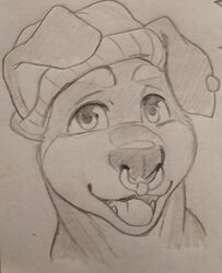  anthro beanie canid canine canis clothing domestic_dog dreiker ear_piercing ear_ring facial_piercing happy hat headgear headwear james_(lilpawsx) male mammal mastiff molosser nose_piercing open_mouth piercing ring_piercing rottweiler septum_piercing smile solo teeth tongue toque 