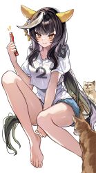  :&gt; absurdres animal_ears badogi barefoot black_hair blue_shorts blunt_bangs calstone_light_o_(umamusume) commentary ear_covers english_commentary feline female full_body gym_shirt gym_shorts highres hime_cut holding horse_ears horse_girl horse_tail long_hair original_race_uniform_(umamusume) pet_food race_bib shirt shorts simple_background solo t-shirt tail umamusume white_background white_shirt yellow_eyes 