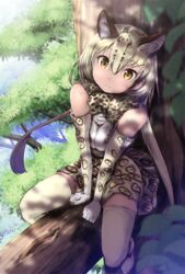  animal_ears animal_print awa_(rosemarygarden) blonde_hair bow bowtie commentary_request elbow_gloves female forest gloves hair_between_eyes in_tree kemono_friends leaf looking_at_viewer nature ocelot_(kemono_friends) ocelot_print outdoors print_skirt print_thighhighs shirt short_hair sitting sitting_in_tree skirt sleeveless sleeveless_shirt solo thighhighs tree yellow_eyes 