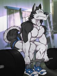  abs absurd_res angry anthro ass biceps black_body black_fur bodily_fluids bottomwear canid canine canis clothed clothing deadlift digital_media_(artwork) domestic_dog dumbbell exercise exercise_equipment extracurricular_activities fingers focused footwear fur gym hair hi_res husky jockstrap jockstrap_only male mammal muscular muscular_anthro muscular_male nipples nordic_sled_dog pecs sharp_teeth shoes socks solo sowo spencer_(extracurricular_activities) spitz sweat sweatdrop tail teeth topless underwear underwear_only weightlifting weights white_body white_fur workout 