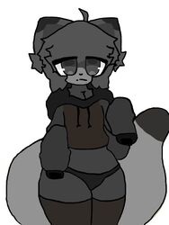  anthro clothing femboy fur grey_body grey_clothing grey_eyes grey_fur grey_hoodie grey_legwear grey_stockings grey_topwear hoodie legwear looking_at_viewer male mammal panties procyonid raccoon solo stockings tail thigh_highs topwear underwear unknown_artist 