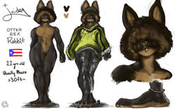  4_toes afro anklet anthro bare_chest barefoot bottomwear brown_body brown_fur cinnahbunn clothed clothing feet fur hair hair_over_eyes hindpaw jaiden_(cinnahbunn) jewelry lagomorph leporid long_ears looking_at_viewer male mammal model_sheet multicolored_body multicolored_fur pants paws poofy_hair puerto_rican_flag rabbit solo sweater toes topwear two_tone_body two_tone_feet two_tone_fur 