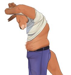  anthro belly_hair belt body_hair bottomwear clothed clothing clothing_lift gator_(artist) kangaroo macropod male mammal marsupial musclegut muscular muscular_anthro muscular_male pants shirt shirt_lift slightly_chubby solo stomach_hair topwear undressing 