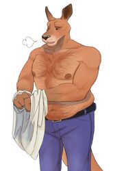  anthro belly_hair belt body_hair bottomwear chest_hair clothing gator_(artist) happy_trail kangaroo macropod male mammal marsupial musclegut muscular muscular_anthro muscular_male pants slightly_chubby solo stomach_hair undressing 