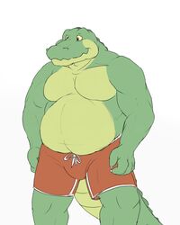  4:5 alligator alligatorid anthro belly clothing crocodilian gator_(artist) hi_res male musclegut muscular muscular_anthro muscular_male overweight overweight_anthro overweight_male reptile scalie slightly_chubby solo swimming_trunks swimwear 