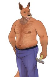  anthro belly_hair belt body_hair bottomwear chest_hair clothed clothing gator_(artist) hammer happy_trail kangaroo macropod male mammal marsupial musclegut muscular muscular_anthro muscular_male nipples pants slightly_chubby solo stomach_hair tools topless 