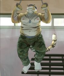  anthro biceps clothed clothing dog_tags exercise felid footwear gator_(artist) gym legwear male mammal mature_anthro mature_male muscular muscular_anthro muscular_male navel nipples pantherine socks solo tiger topless 