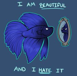  betta_(genus) blue_body conditional_dnp digital_media_(artwork) english_text feral fish frown gourami humor looking_at_mirror looking_at_object male marine mirror reflection semi-anthro siamese_fighting_fish simple_background solo text tojo_the_thief 